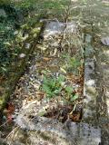 image of grave number 660324